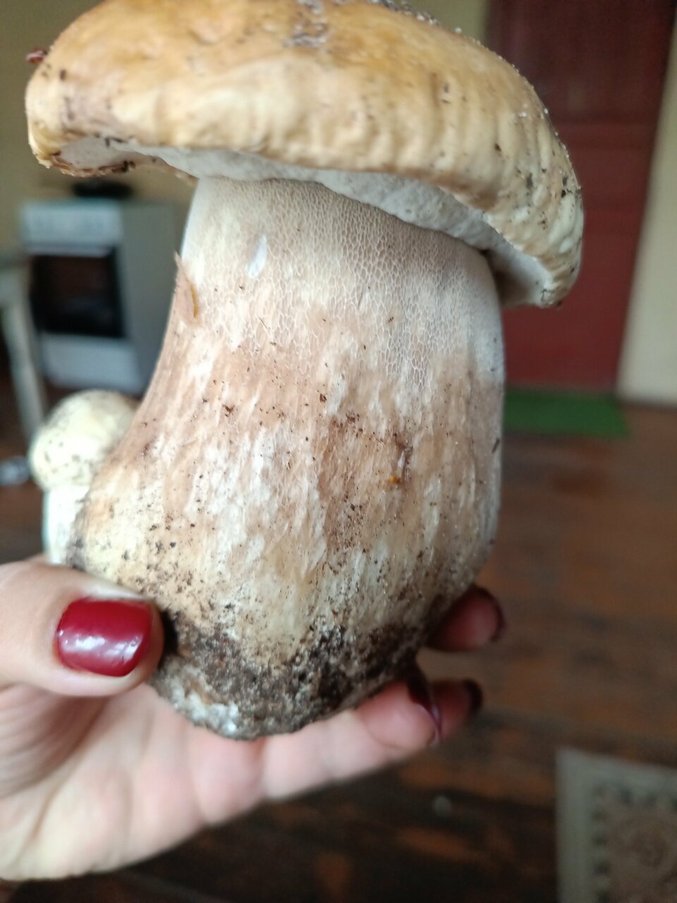 Гостиница Купеческий клуб Бор-228