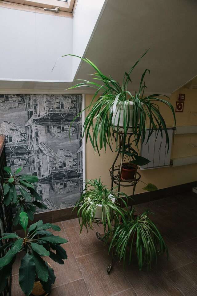 Гостиница Купеческий клуб Бор-38